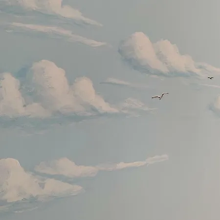 Seagull Dreams 公寓 *